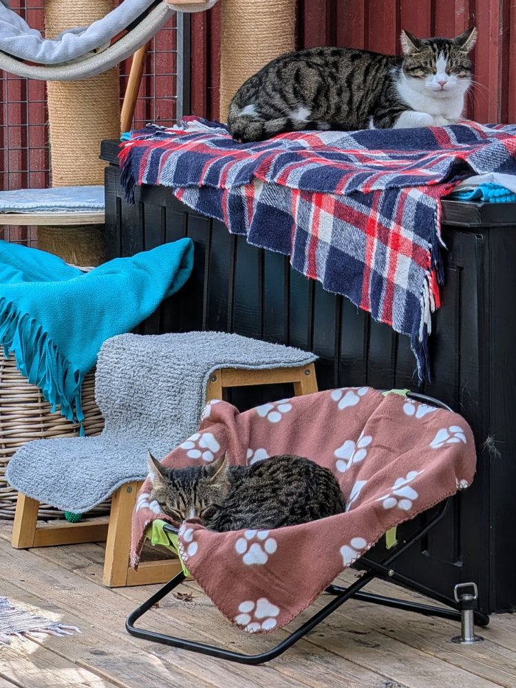 Grumse (längst ner) och Zid